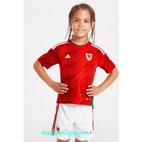 Thai Maillot Galles Enfant Domicile 2022 2023 Q120