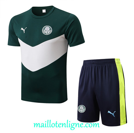 Thai Maillot Ensemble Palmeiras + Short Training Vert 2022/2023 E1093