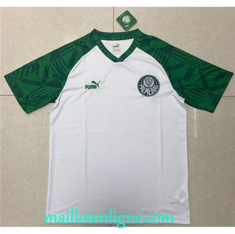 Thai Maillot Palmeiras Maillot Training 2022 2023 maillotenligne 0066