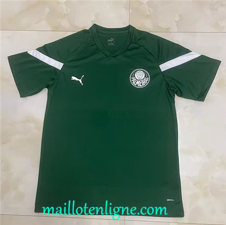 Thai Maillot Palmeiras Maillot Training Vert 2023 2024 maillotenligne 0068