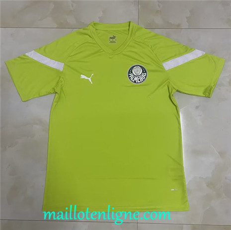Thai Maillot Palmeiras Maillot Training Vert Gazon 2022 2023 maillotenligne 0069