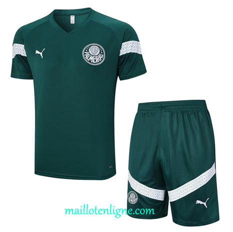 Thai Maillot Ensemble Palmeiras + Short Training 2023 2024 Vert ML1077