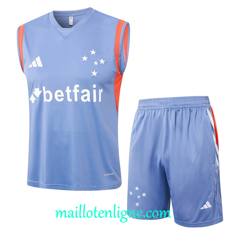 Thai Maillot Cruzeiro Debardeur Training 2024 2025 Gris ligne 120036