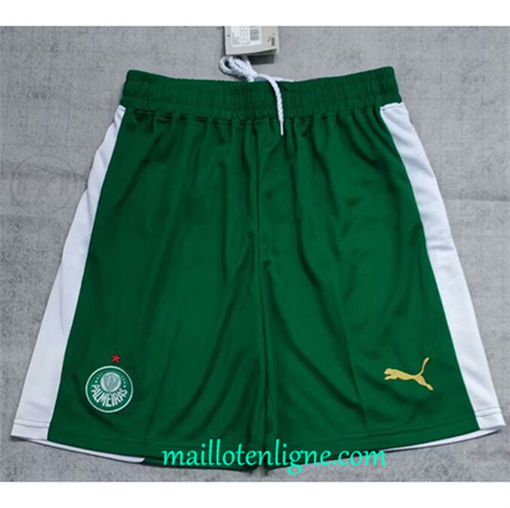 Thai Maillot Palmeiras Short Exterieur 2024 2025 ligne 4063