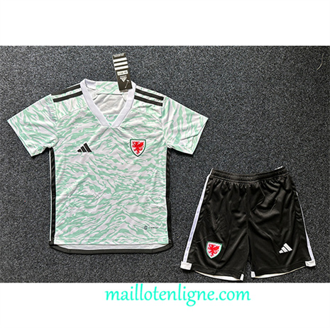 Thai Maillot Galles Enfant Vert 2024 2025 ligne 4138