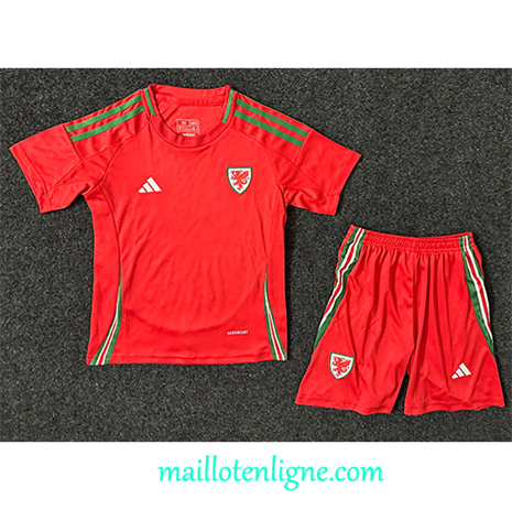 Thai Maillot Galles Enfant Domicile 2024 2025 ligne 4139