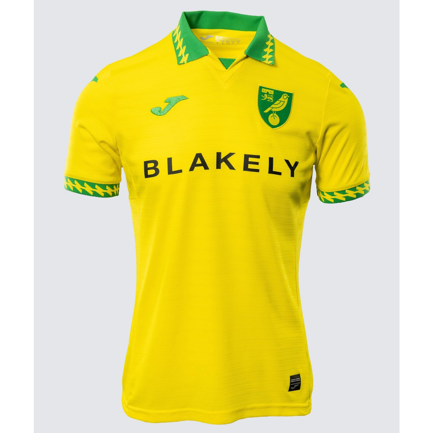 Maillot Norwich City Domicile 2025 2026 ligne8721