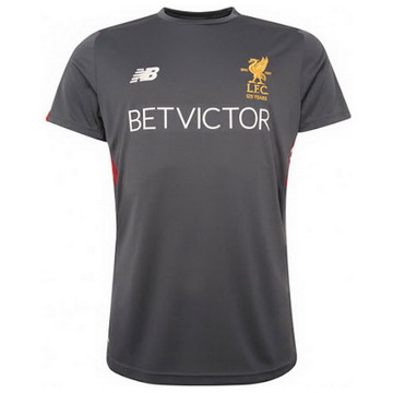 Maillot de Formation Liverpool gris 2017/2018