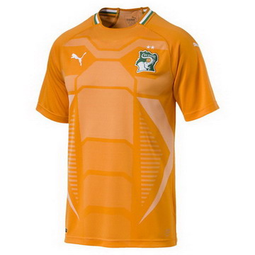 Maillot de Cote dIvoire Domicile 2018/2019